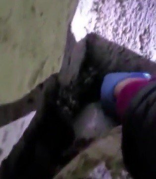 Tavuğun Altından Yumurta Değil, Uyuşturucu Çıktı