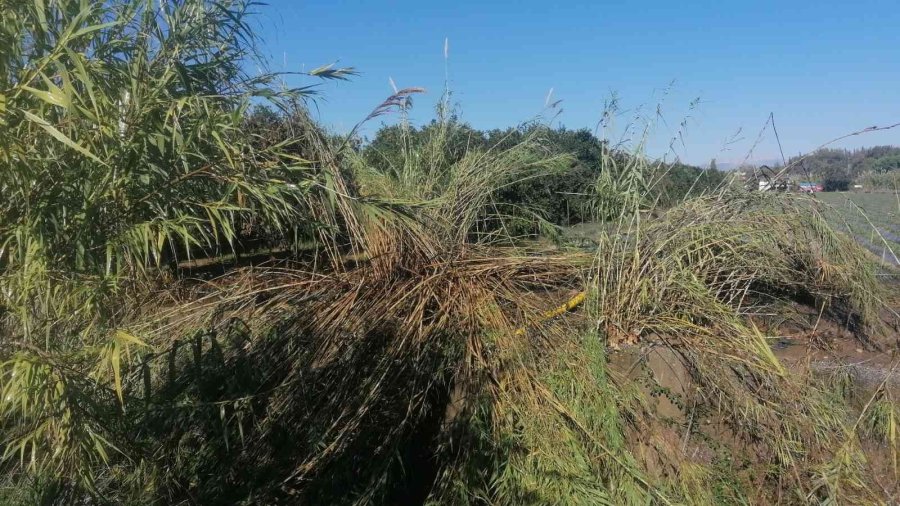 Tanker Yangınına Giden İtfaiyeciler Yanmakta Olan Kamışları Söndürdü