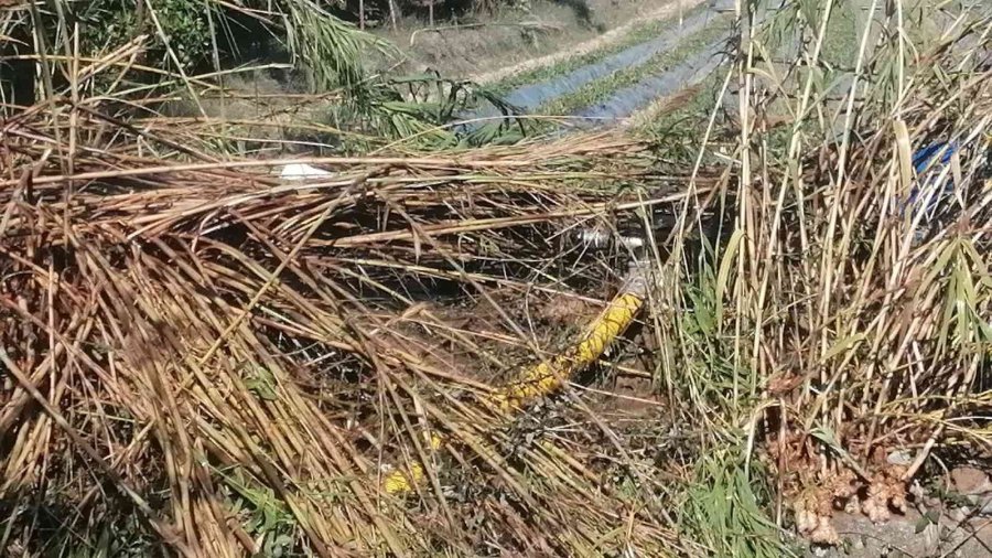 Tanker Yangınına Giden İtfaiyeciler Yanmakta Olan Kamışları Söndürdü