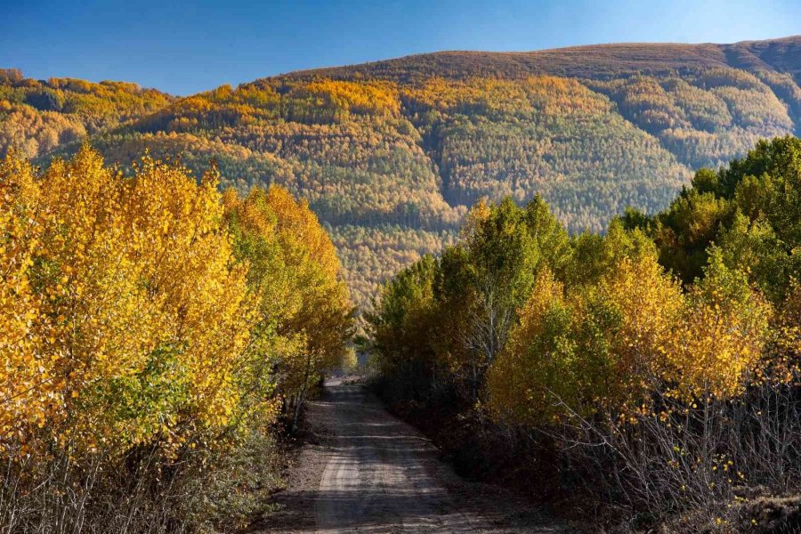 Ortaseki’de Sonbahar Güzelliği
