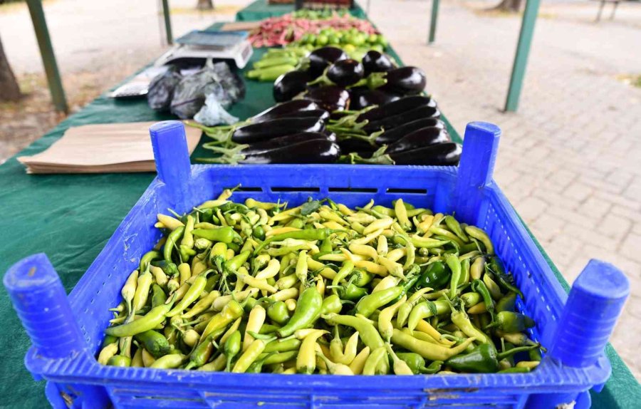 Ekolojik Pazar Beğeni Topluyor