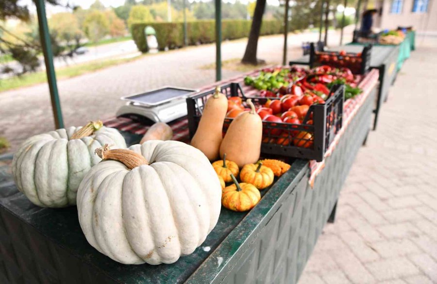 Ekolojik Pazar Beğeni Topluyor