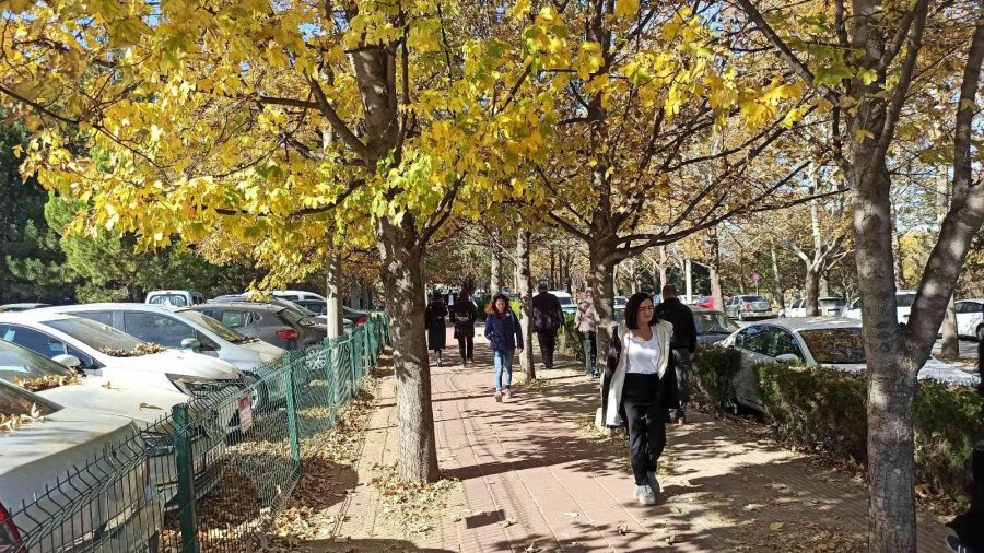 Esogü’den Hayran Bırakan Sonbahar Manzaraları