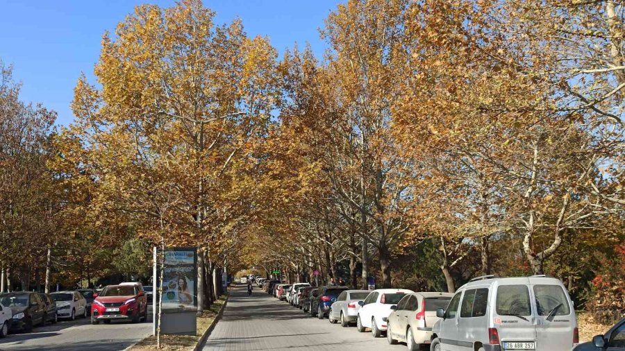 Esogü’den Hayran Bırakan Sonbahar Manzaraları