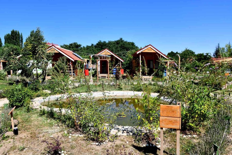 Yeryüzü Ekoloji Okulu Çok Sevildi