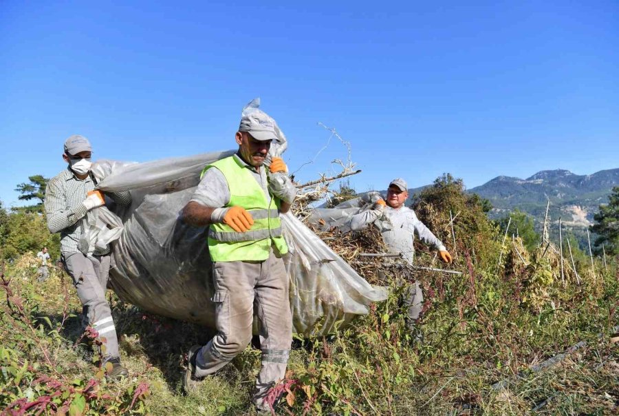 Konyaaltı Örnek Oldu, Fasulyede Üretim Arttı