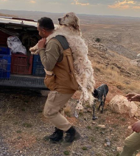 Yorulan Köpeğini 5 Kilometre Sırtında Taşıdı