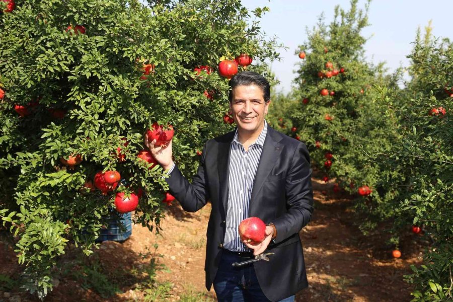 Döşemealtı’nda Nar Çalıştayı Düzenlenecek