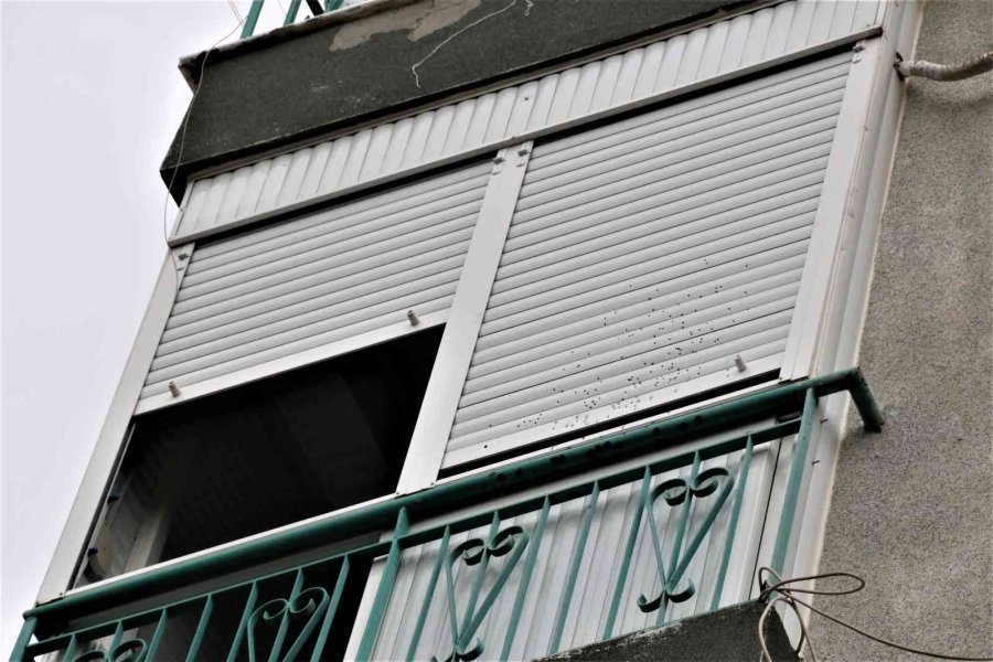 Yıkamak İçin Balkonuna Çıkan Kadın, Gördüğü Manzara Karşısında Dehşete Kapıldı