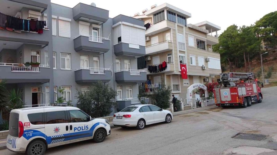 Cama Çıkan Kediler Polisi Ve İtfaiyeyi Alarma Geçirdi