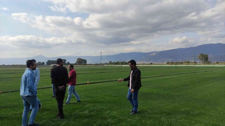 Büyükşehir, Topladığı 1 Ton Tohumu Yeniden Toprakla Buluşturdu