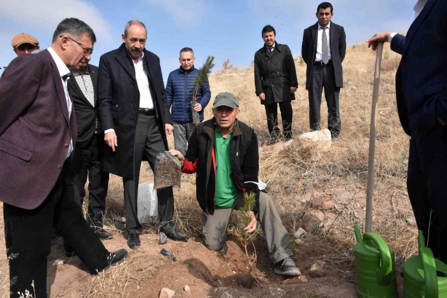 Kto Yönetimi Hatıra Ormanı’na Fidan Dikti