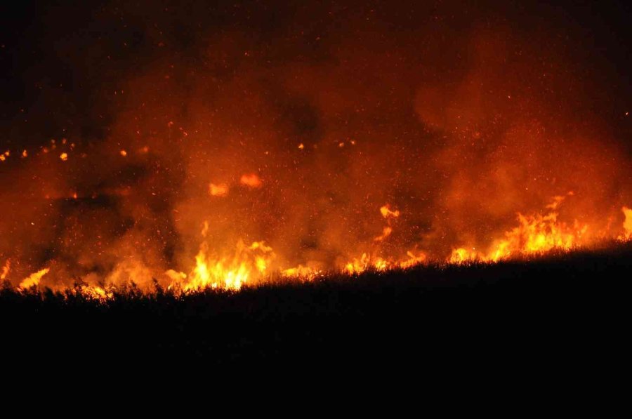 Uluslararası Koruma Altında Bulunan Göksu Deltası’nda Yangın