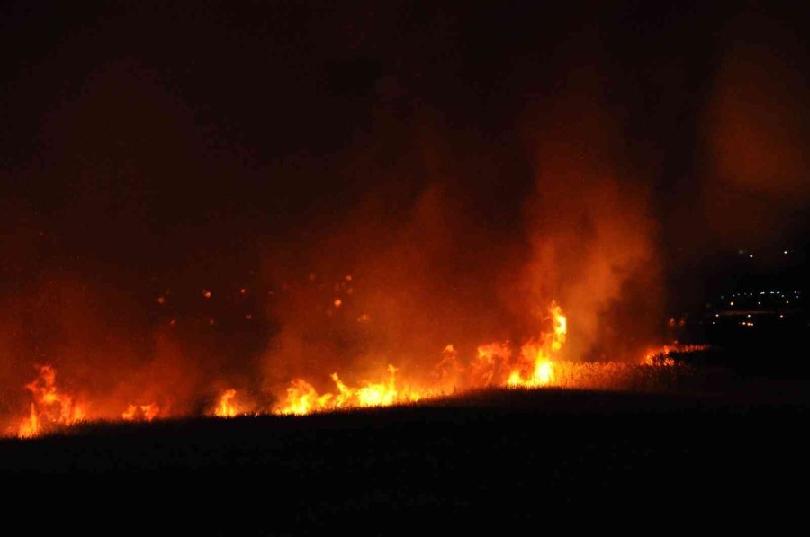Uluslararası Koruma Altında Bulunan Göksu Deltası’nda Yangın