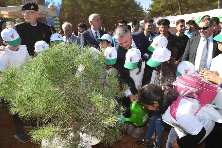 30 Dönümlük Alanda 3 Bin 500 Adet Kızılçam, Mazı Ve Fıstık Fidanı Dikildi