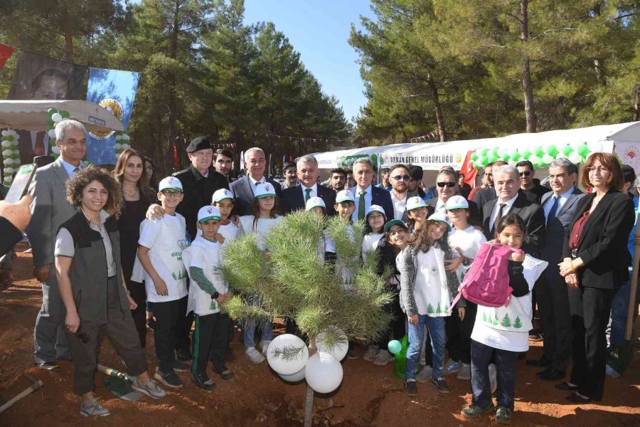 30 Dönümlük Alanda 3 Bin 500 Adet Kızılçam, Mazı Ve Fıstık Fidanı Dikildi
