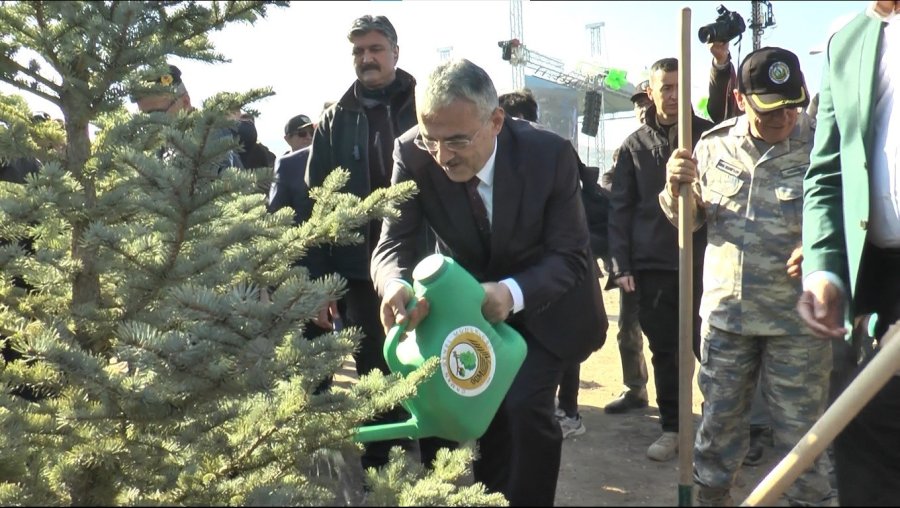 Eskişehir’de 49 Bin Fidan Toprakla Buluştu