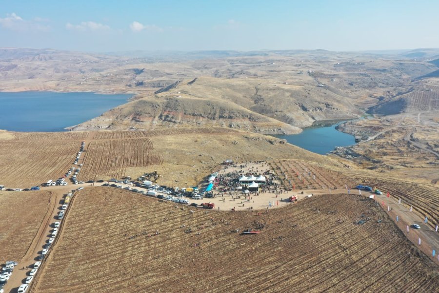 Kayseri’nin Denizi Kuşçu’da, Ağaç Dikme Etkinliği Gerçekleştirildi