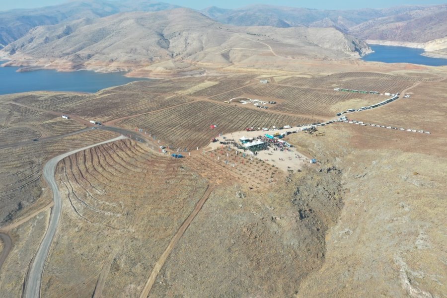 Kayseri’nin Denizi Kuşçu’da, Ağaç Dikme Etkinliği Gerçekleştirildi