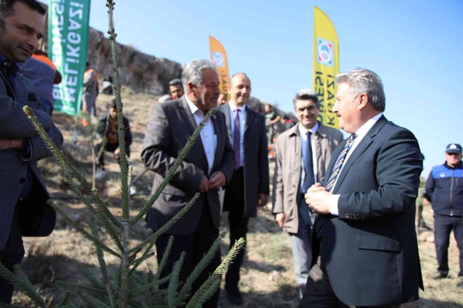 Melikgazi’den Milli Ağaçlandırma Günü’ne Özel 3 Bin 838 Fidan