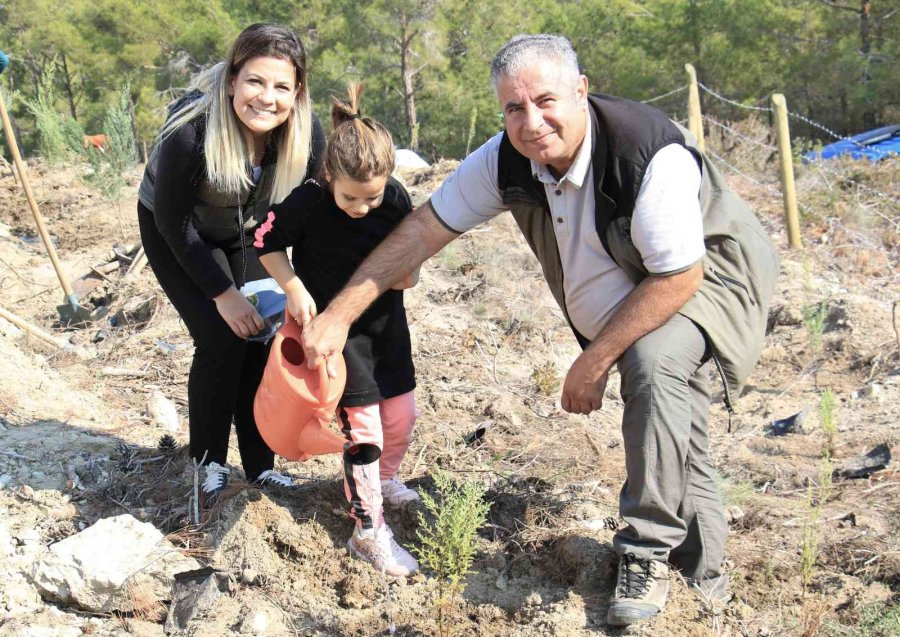 Mersin’de Sazlı Sözlü Fidan Dikimi