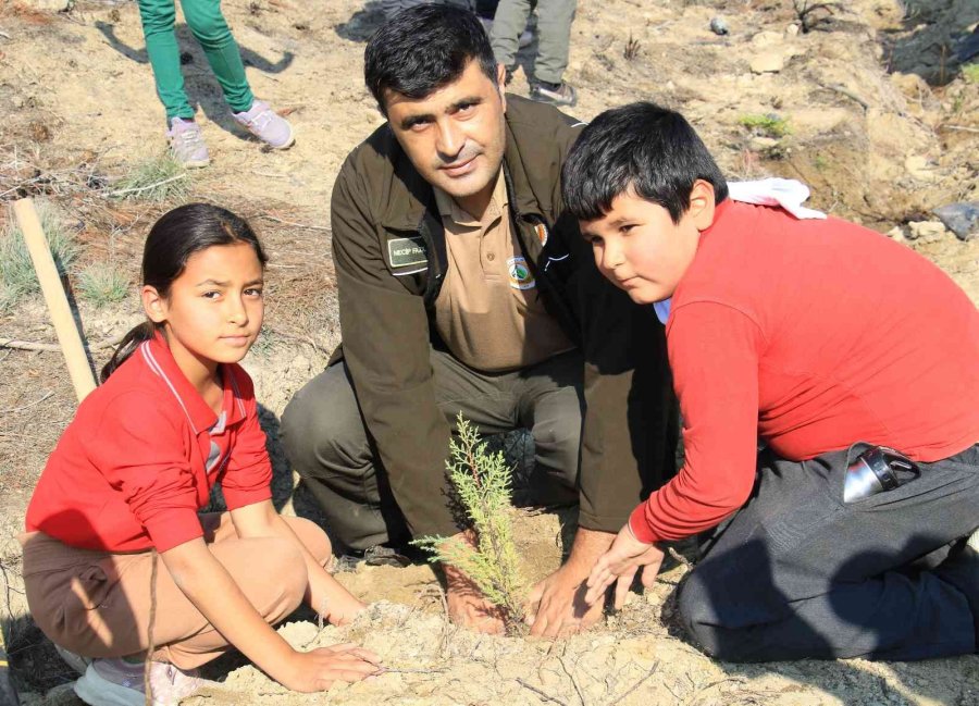 Mersin’de Sazlı Sözlü Fidan Dikimi
