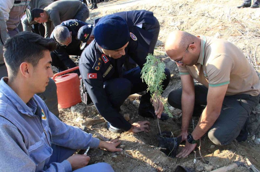 Mersin’de Sazlı Sözlü Fidan Dikimi