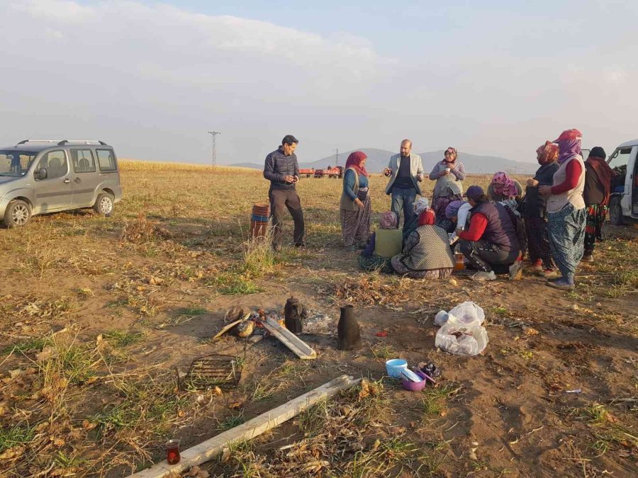 Başkan Erden Soğan Tarlasında Çalışan Kadınların Sorunlarını Dinledi