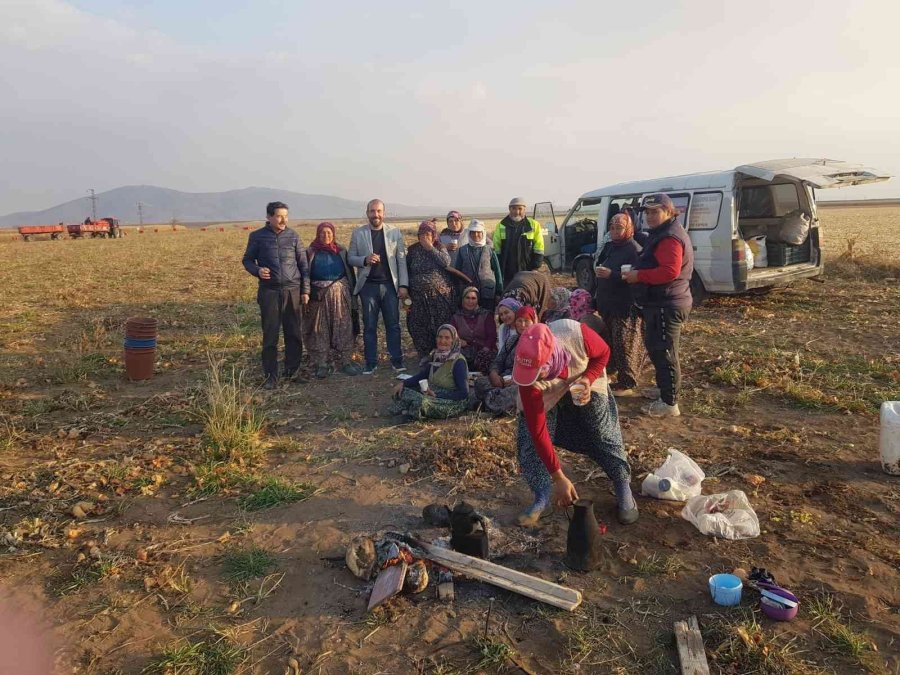 Başkan Erden Soğan Tarlasında Çalışan Kadınların Sorunlarını Dinledi