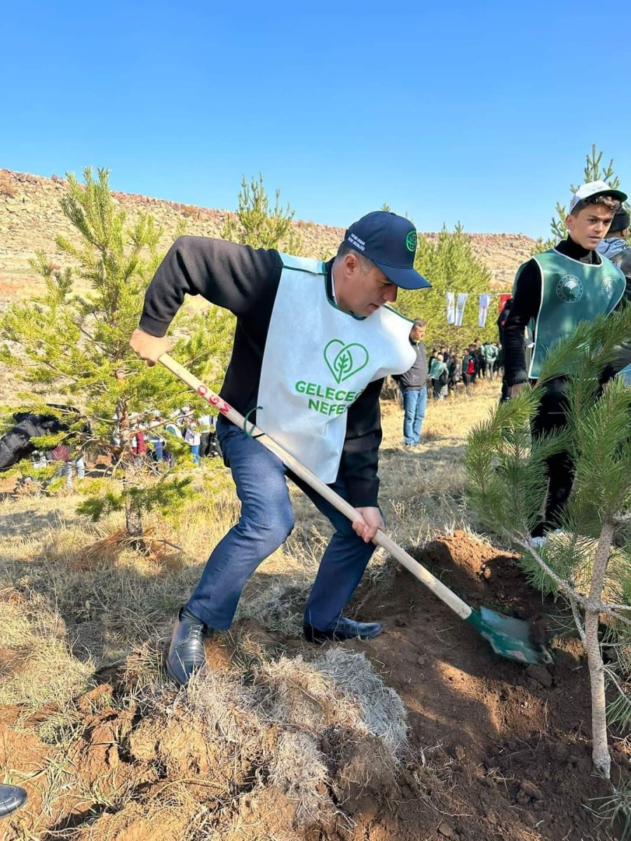 Tomarza’da Bin 500 Fidan Toprakla Buluştu