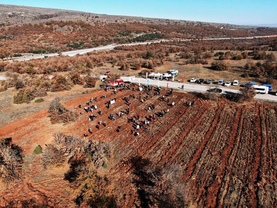 İnönü’de 5 Bin Fidan Toprakla Buluştu