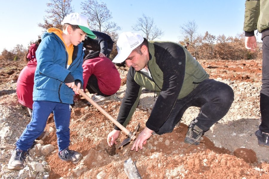 İnönü’de 5 Bin Fidan Toprakla Buluştu