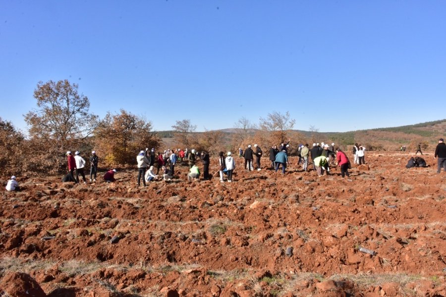 İnönü’de 5 Bin Fidan Toprakla Buluştu