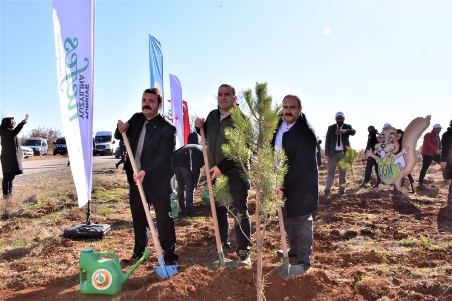 İnönü’de 5 Bin Fidan Toprakla Buluştu