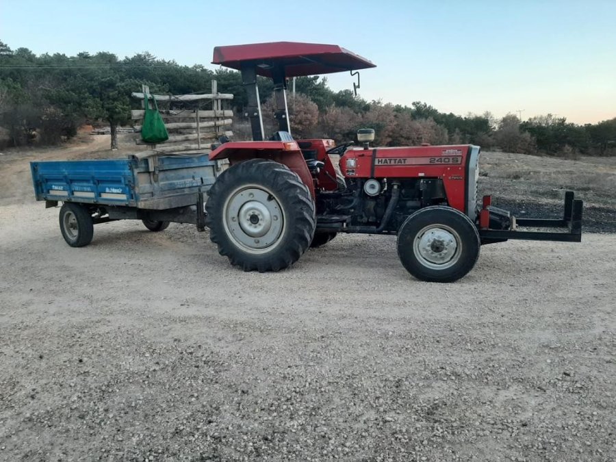 Ormanda Kaçak Odun Kesen Şahıs Yakalandı