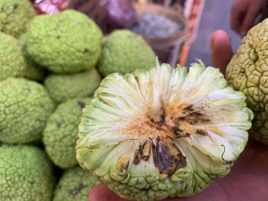 Vatandaşın Ağrı Kesici Arayışına “yalancı Portakal” Yetişti