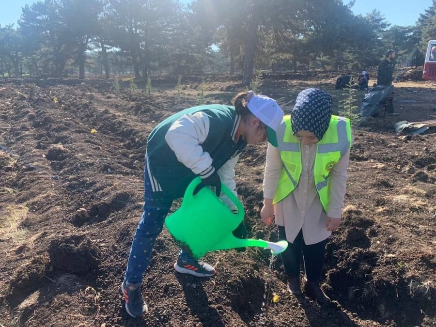 Tohumlar Fidana, Fidanlar Seyitgazi’ye