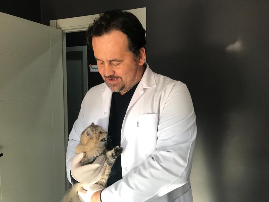 Kuduz Hastalığı Farklı Hayvanlarda Da Görülebilir