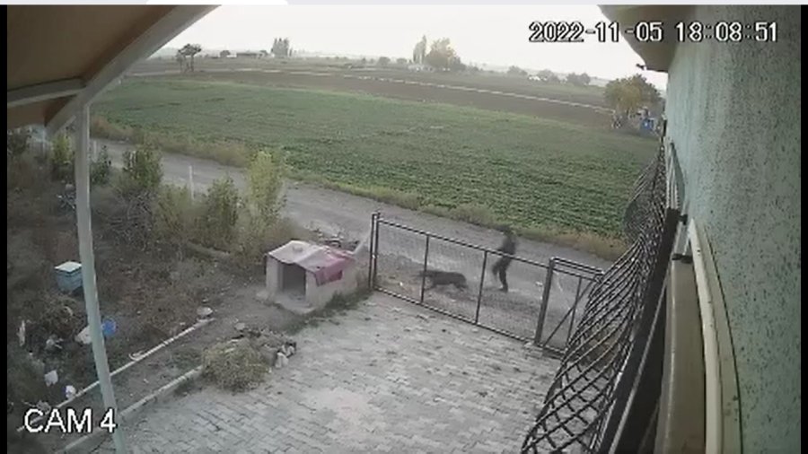 Bahçe Kapısından Atlayıp Köpeği Böyle Çaldı