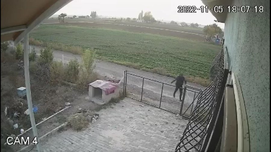 Bahçe Kapısından Atlayıp Köpeği Böyle Çaldı