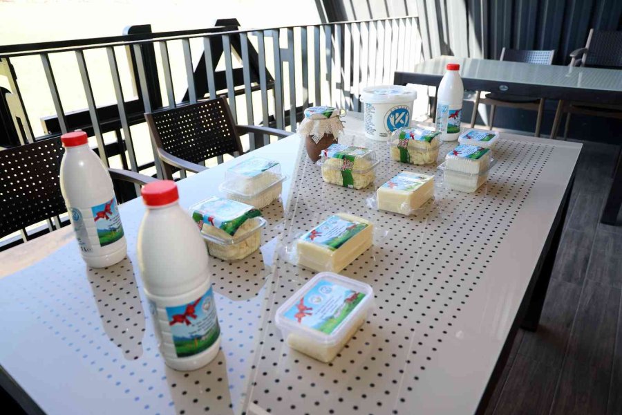 “talas Süt Evi” Ürünleri Görücüye Çıktı