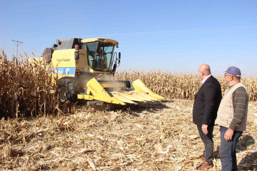 Karaman Ovasında Yemlik Mısır Hasadı Başladı