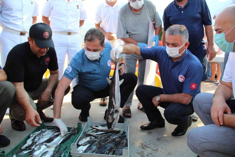 Antalya’da Balıkçılara İstilacı Balon Balığı Bereketi