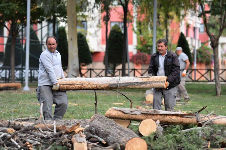 Konyaaltı’nda Kış Hazırlıkları
