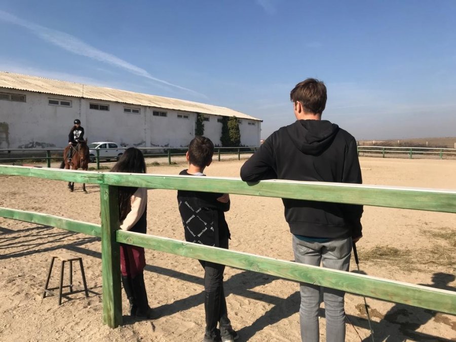 Ara Tatili At Üstünde Geçirdiler