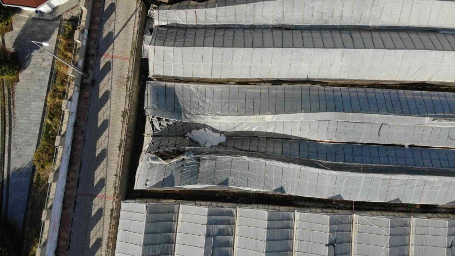 Alanya’da Dolu Yağışı Seralarda Hasara Yol Açtı