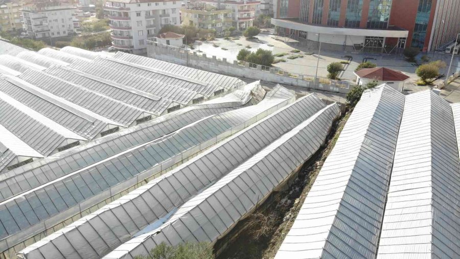 Alanya’da Dolu Yağışı Seralarda Hasara Yol Açtı