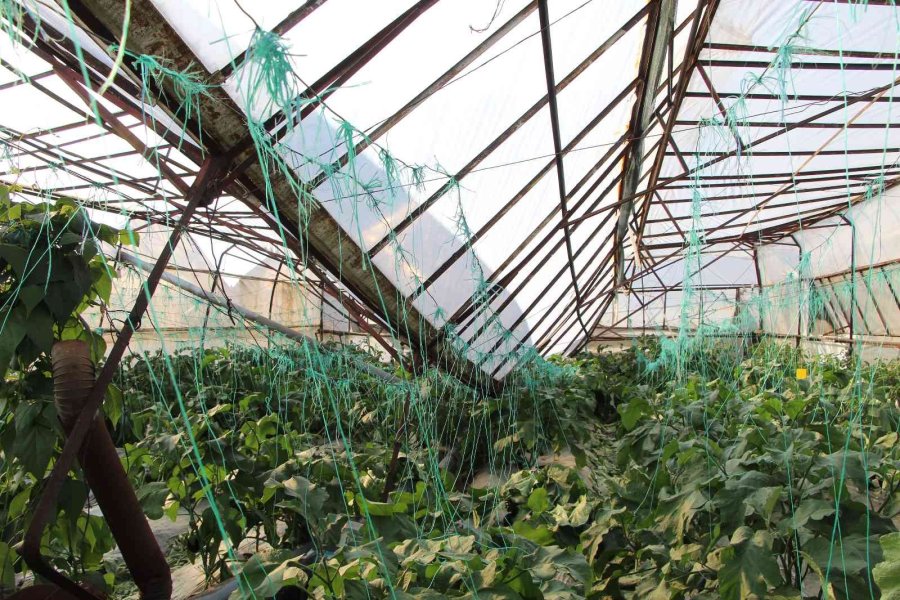 Alanya’da Dolu Yağışı Seralarda Hasara Yol Açtı