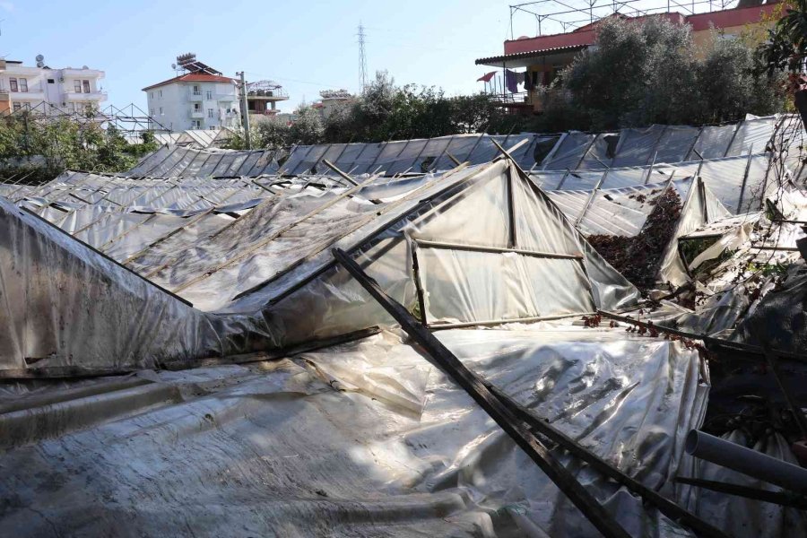 Alanya’da Dolu Yağışı Seralarda Hasara Yol Açtı