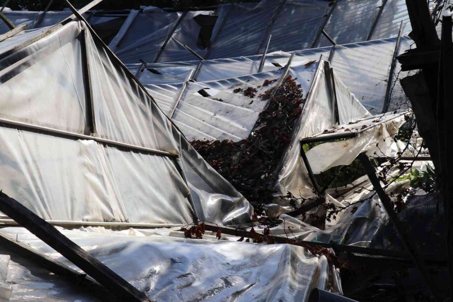 Alanya’da Dolu Yağışı Seralarda Hasara Yol Açtı